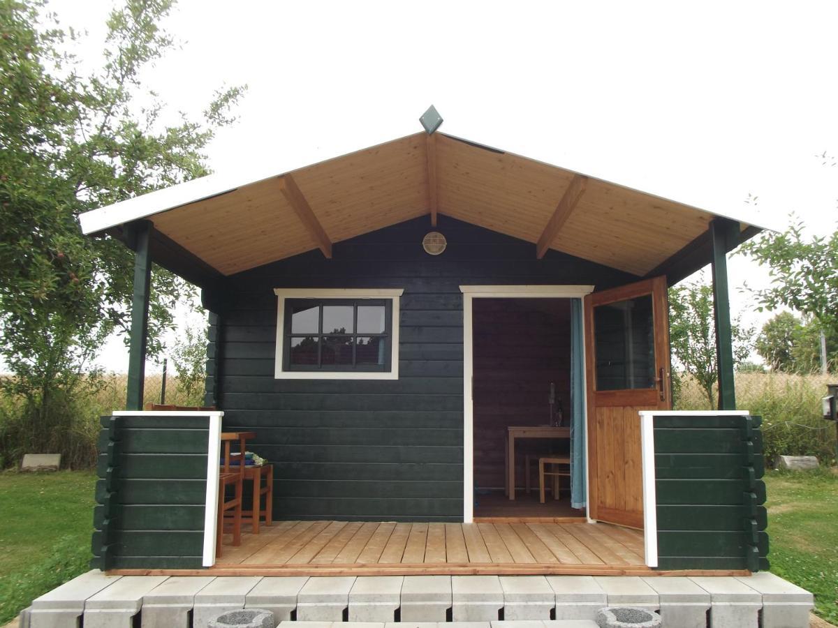 Camping & Guest House Pliskovice Mirovice Exterior foto