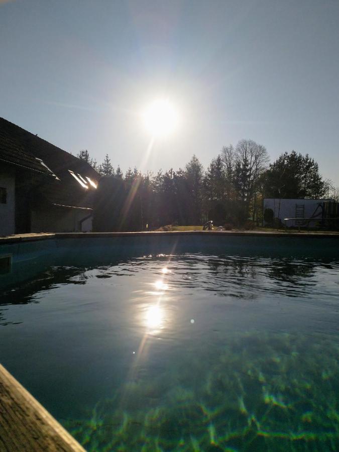 Camping & Guest House Pliskovice Mirovice Exterior foto