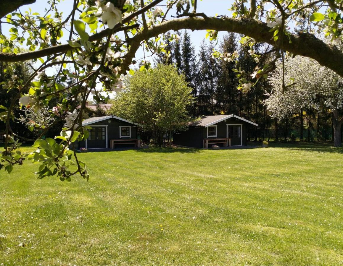 Camping & Guest House Pliskovice Mirovice Exterior foto