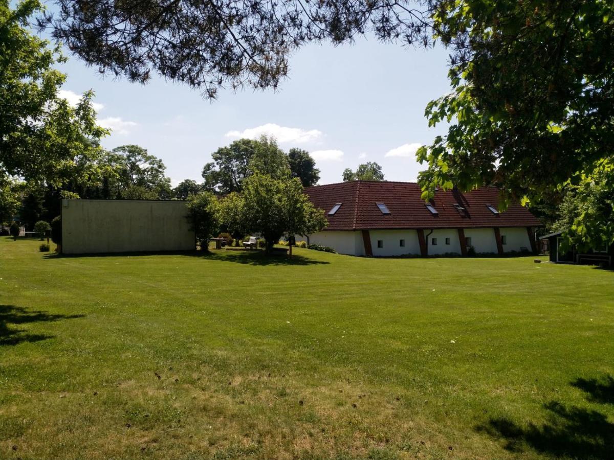 Camping & Guest House Pliskovice Mirovice Exterior foto