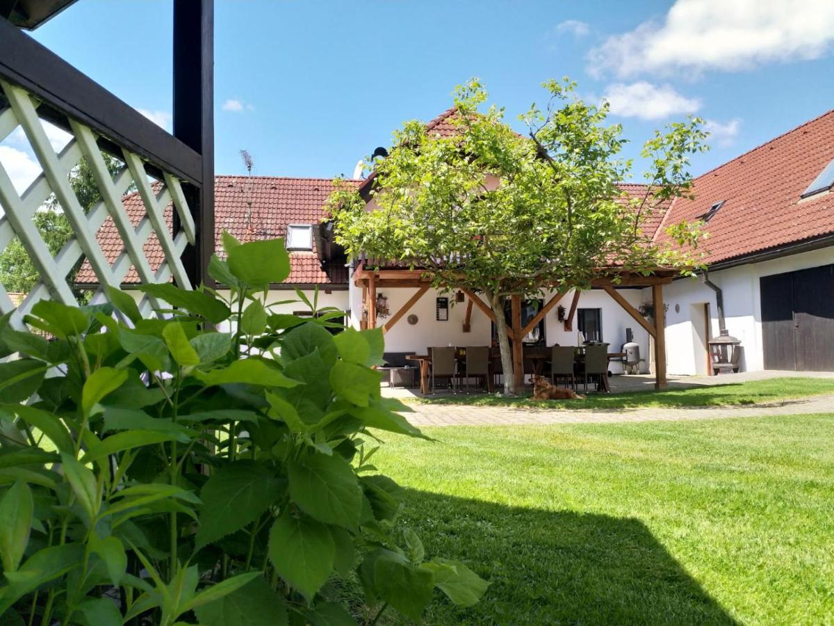 Camping & Guest House Pliskovice Mirovice Exterior foto